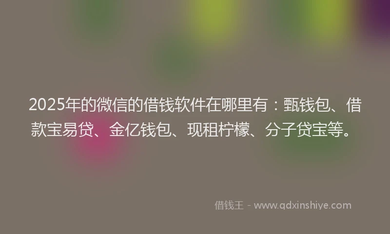 2025年的微信的借钱软件在哪里有：甄钱包、借款宝易贷、金亿钱包、现租柠檬、分子贷宝等。