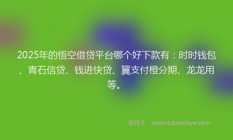 2025年的悟空借贷平台哪个好下款有：时时钱包、青石信贷、钱进快贷、翼支付橙分期、龙龙用等。