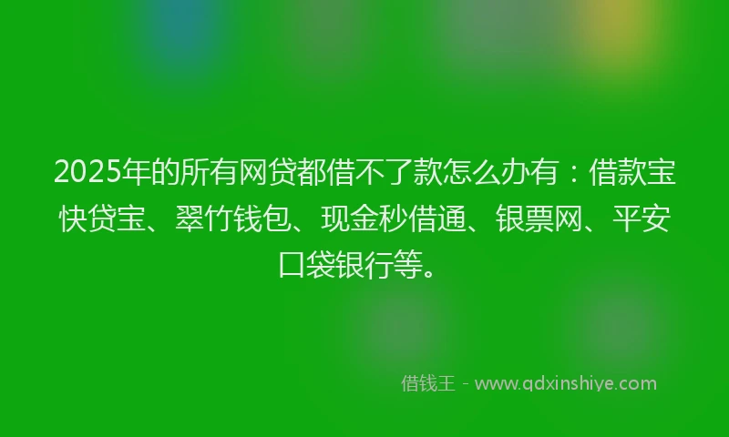 2025年的所有网贷都借不了款怎么办有：借款宝快贷宝、翠竹钱包、现金秒借通、银票网、平安口袋银行等。
