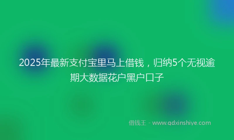 2025年最新支付宝里马上借钱，归纳5个无视逾期大数据花户黑户口子