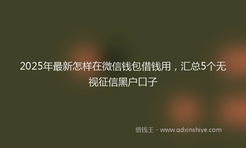 2025年最新怎样在微信钱包借钱用，汇总5个无视征信黑户口子