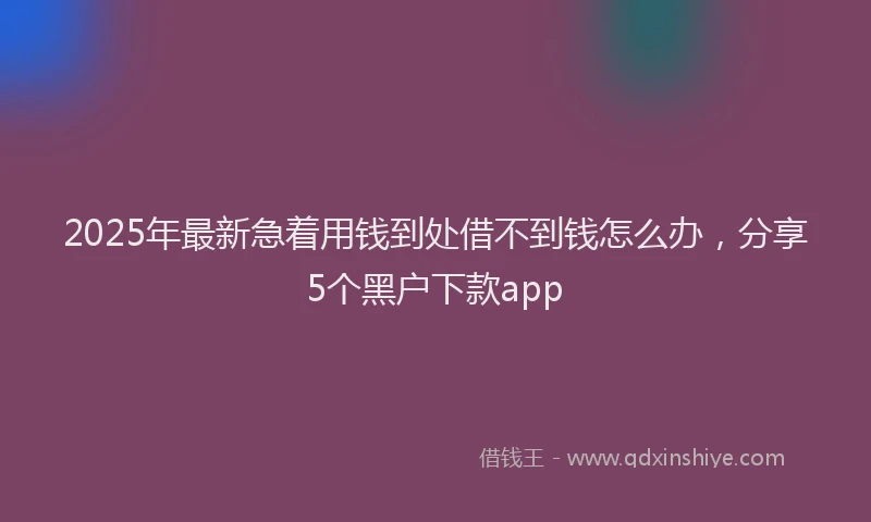 2025年最新急着用钱到处借不到钱怎么办，分享5个黑户下款app