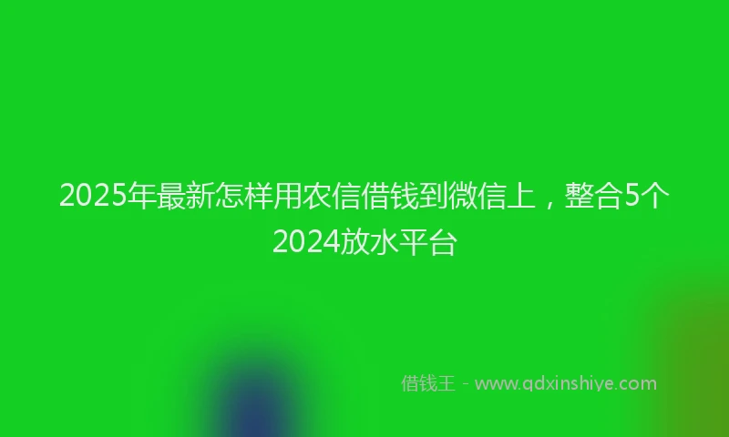 2025年最新怎样用农信借钱到微信上，整合5个2024放水平台