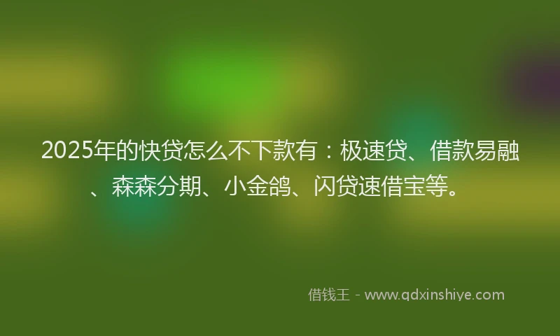 2025年的快贷怎么不下款有：极速贷、借款易融、森森分期、小金鸽、闪贷速借宝等。