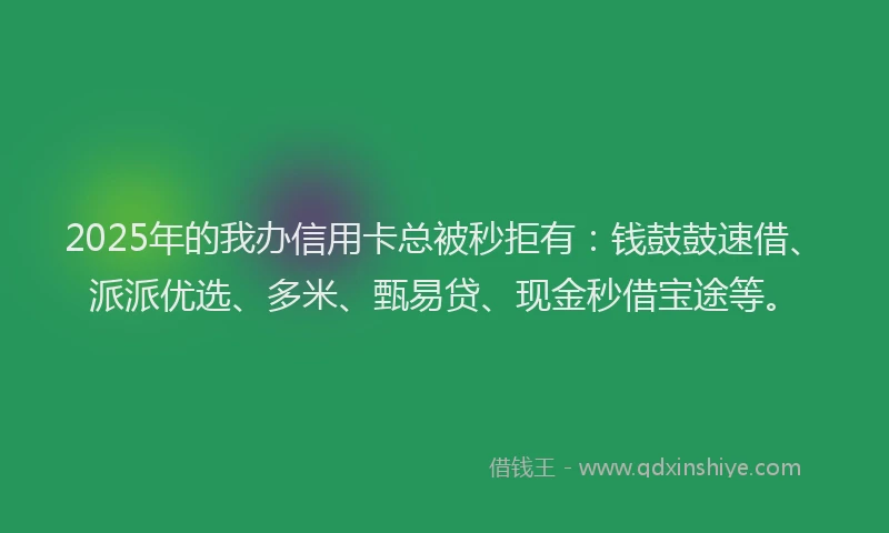 2025年的我办信用卡总被秒拒有：钱鼓鼓速借、派派优选、多米、甄易贷、现金秒借宝途等。