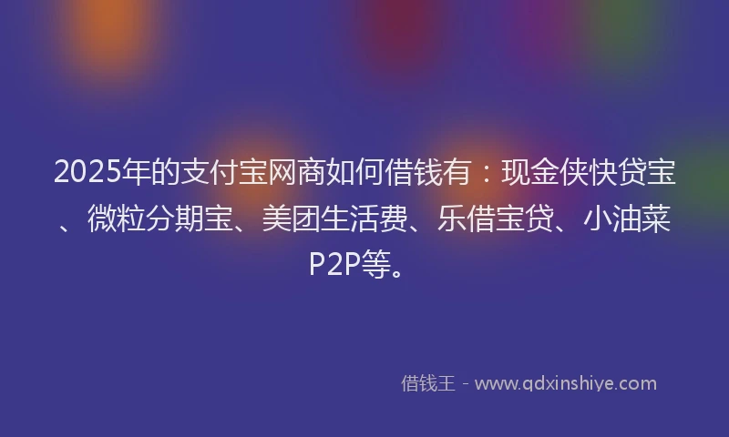 2025年的支付宝网商如何借钱有：现金侠快贷宝、微粒分期宝、美团生活费、乐借宝贷、小油菜P2P等。