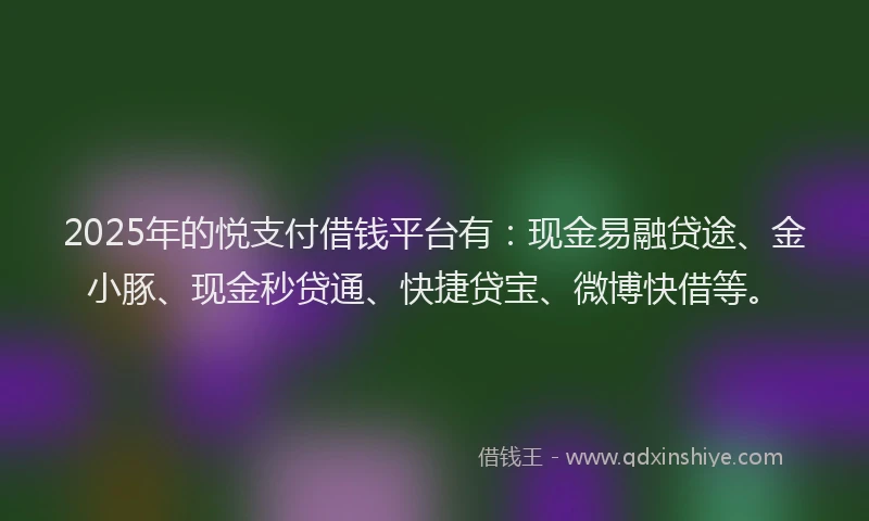 2025年的悦支付借钱平台有：现金易融贷途、金小豚、现金秒贷通、快捷贷宝、微博快借等。