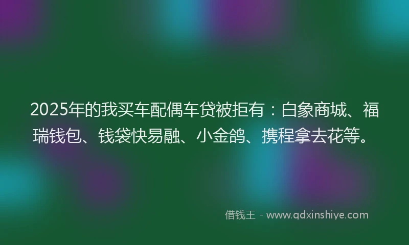 2025年的我买车配偶车贷被拒有：白象商城、福瑞钱包、钱袋快易融、小金鸽、携程拿去花等。