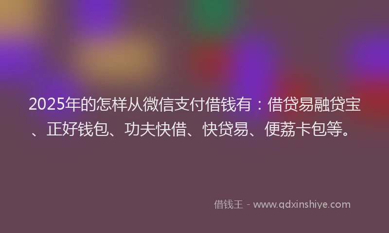 2025年的怎样从微信支付借钱有：借贷易融贷宝、正好钱包、功夫快借、快贷易、便荔卡包等。