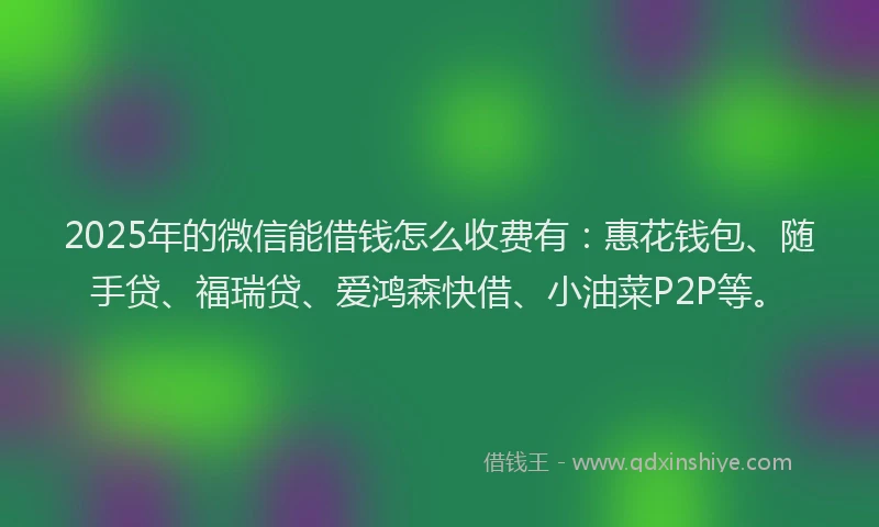 2025年的微信能借钱怎么收费有：惠花钱包、随手贷、福瑞贷、爱鸿森快借、小油菜P2P等。