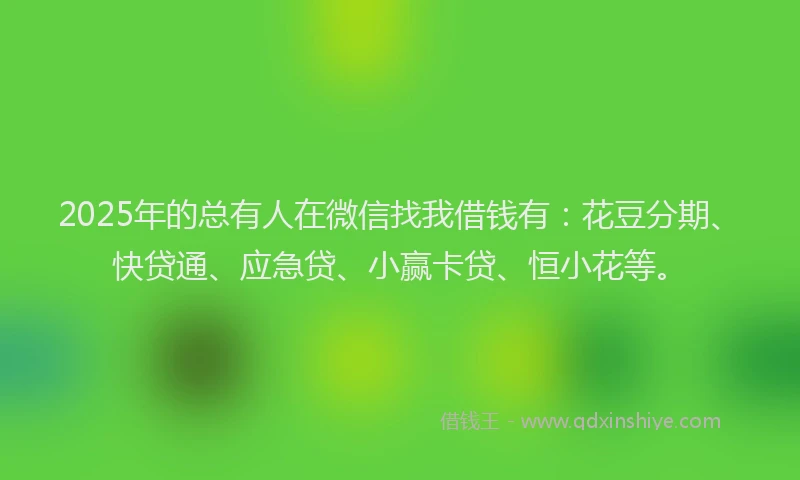 2025年的总有人在微信找我借钱有：花豆分期、快贷通、应急贷、小赢卡贷、恒小花等。