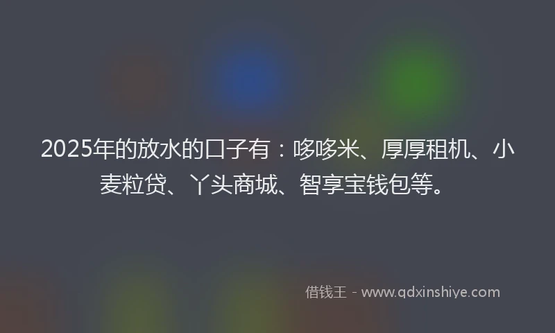 2025年的放水的口子有：哆哆米、厚厚租机、小麦粒贷、丫头商城、智享宝钱包等。
