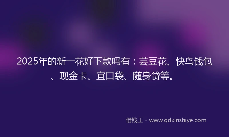2025年的新一花好下款吗有：芸豆花、快鸟钱包、现金卡、宜口袋、随身贷等。
