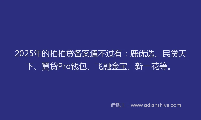 2025年的拍拍贷备案通不过有：鹿优选、民贷天下、翼贷Pro钱包、飞融金宝、新一花等。