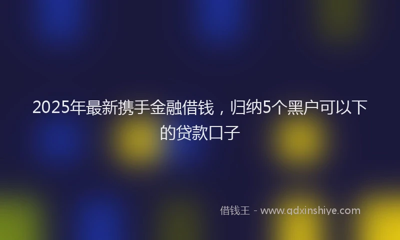 2025年最新携手金融借钱，归纳5个黑户可以下的贷款口子