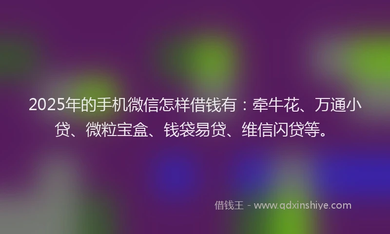 2025年的手机微信怎样借钱有：牵牛花、万通小贷、微粒宝盒、钱袋易贷、维信闪贷等。
