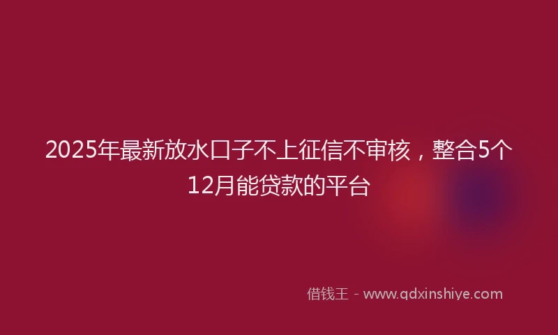 2025年最新放水口子不上征信不审核，整合5个12月能贷款的平台