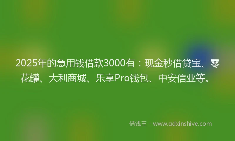 2025年的急用钱借款3000有：现金秒借贷宝、零花罐、大利商城、乐享Pro钱包、中安信业等。