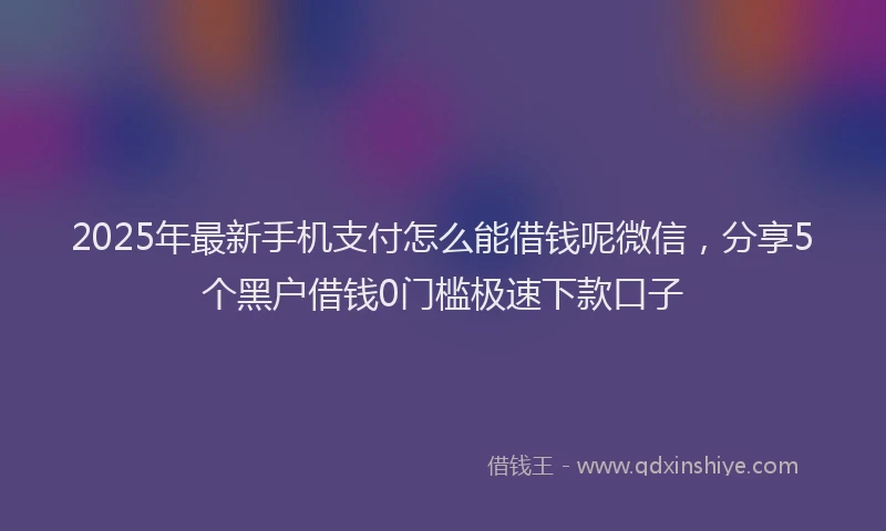 2025年最新手机支付怎么能借钱呢微信，分享5个黑户借钱0门槛极速下款口子