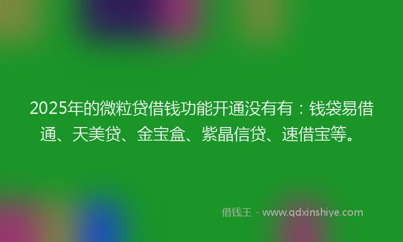 2025年的微粒贷借钱功能开通没有有：钱袋易借通、天美贷、金宝盒、紫晶信贷、速借宝等。