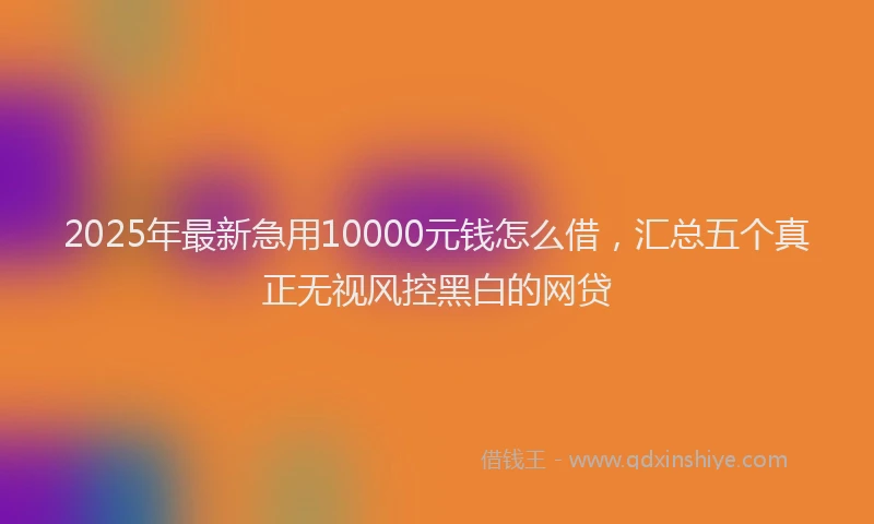 2025年最新急用10000元钱怎么借，汇总五个真正无视风控黑白的网贷
