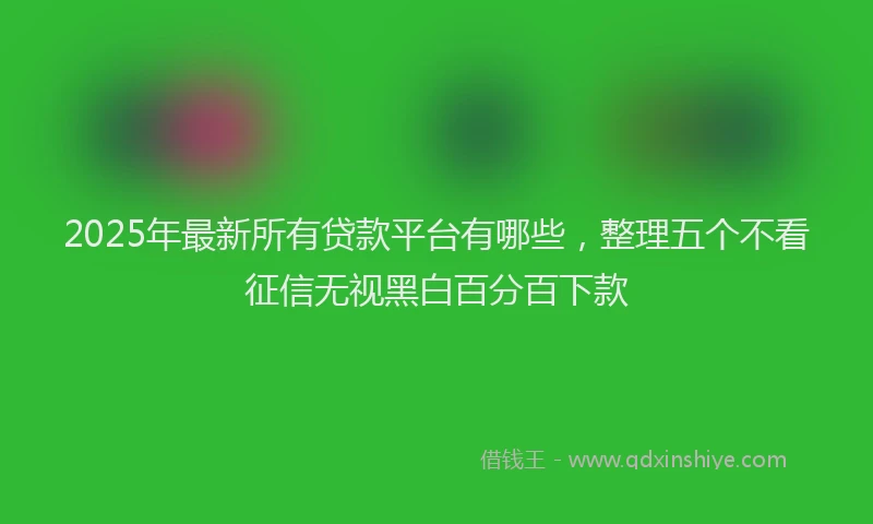 2025年最新所有贷款平台有哪些，整理五个不看征信无视黑白百分百下款