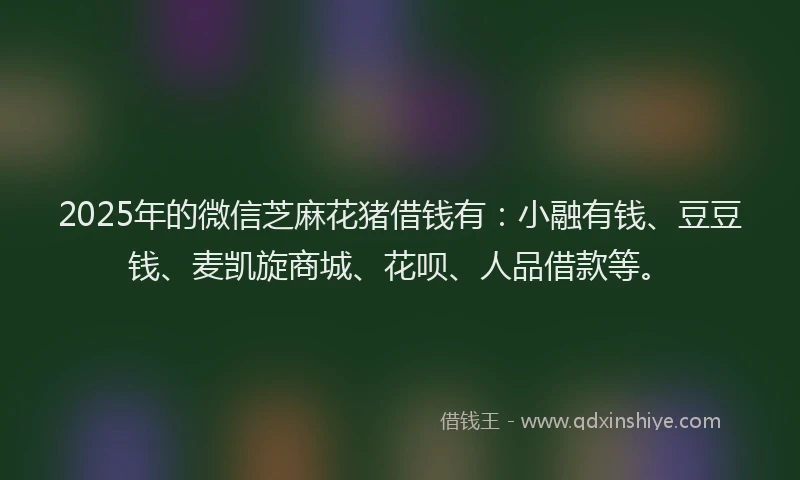 2025年的微信芝麻花猪借钱有：小融有钱、豆豆钱、麦凯旋商城、花呗、人品借款等。
