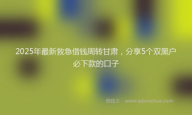 2025年最新救急借钱周转甘肃，分享5个双黑户必下款的口子