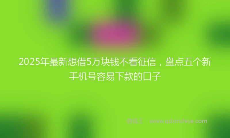 2025年最新想借5万块钱不看征信，盘点五个新手机号容易下款的口子