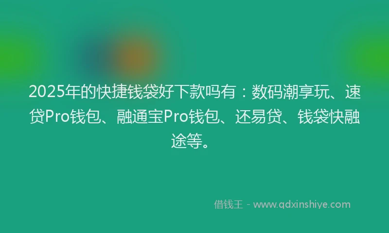 2025年的快捷钱袋好下款吗有：数码潮享玩、速贷Pro钱包、融通宝Pro钱包、还易贷、钱袋快融途等。