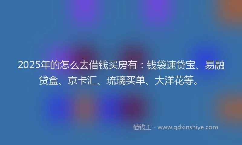 2025年的怎么去借钱买房有：钱袋速贷宝、易融贷盒、京卡汇、琉璃买单、大洋花等。