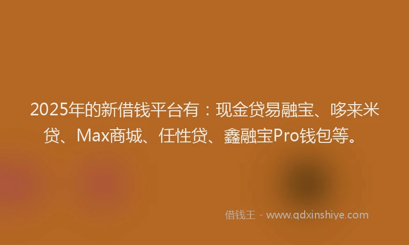2025年的新借钱平台有：现金贷易融宝、哆来米贷、Max商城、任性贷、鑫融宝Pro钱包等。