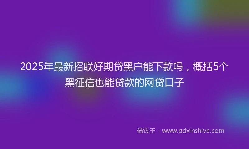 2025年最新招联好期贷黑户能下款吗，概括5个黑征信也能贷款的网贷口子
