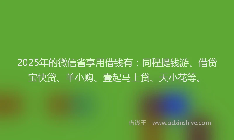 2025年的微信省享用借钱有：同程提钱游、借贷宝快贷、羊小购、壹起马上贷、天小花等。