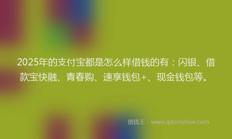 2025年的支付宝都是怎么样借钱的有：闪银、借款宝快融、青春购、速享钱包+、现金钱包等。