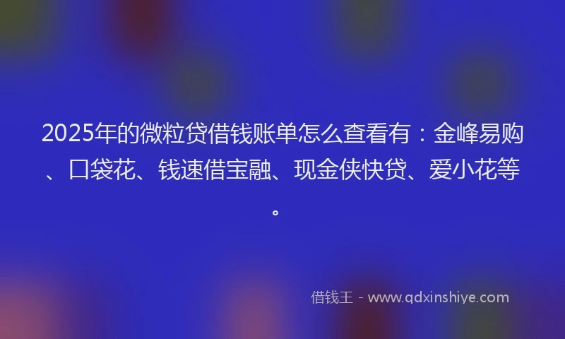 2025年的微粒贷借钱账单怎么查看有：金峰易购、口袋花、钱速借宝融、现金侠快贷、爱小花等。