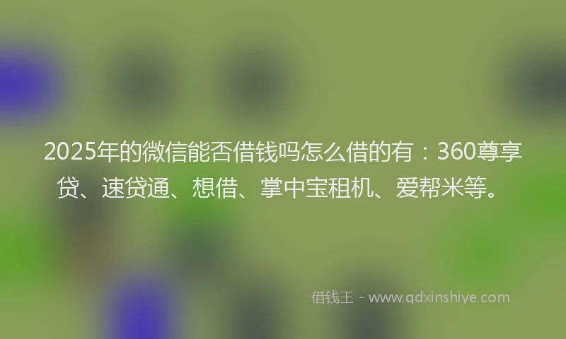 2025年的微信能否借钱吗怎么借的有：360尊享贷、速贷通、想借、掌中宝租机、爱帮米等。
