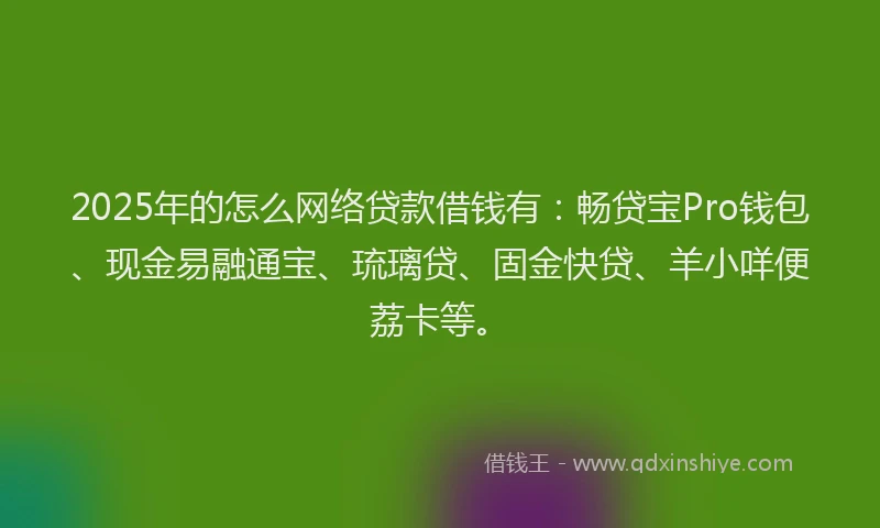 2025年的怎么网络贷款借钱有：畅贷宝Pro钱包、现金易融通宝、琉璃贷、固金快贷、羊小咩便荔卡等。