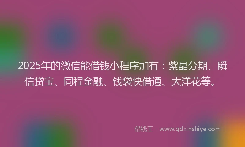 2025年的微信能借钱小程序加有：紫晶分期、瞬信贷宝、同程金融、钱袋快借通、大洋花等。