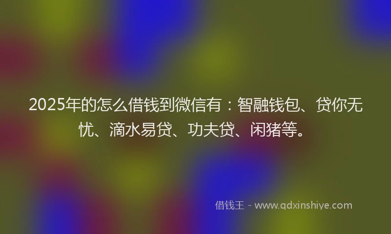 2025年的怎么借钱到微信有：智融钱包、贷你无忧、滴水易贷、功夫贷、闲猪等。