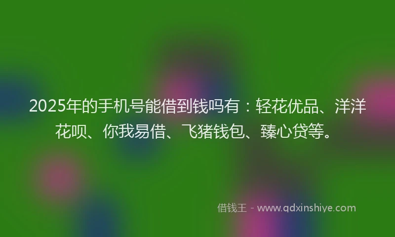 2025年的手机号能借到钱吗有：轻花优品、洋洋花呗、你我易借、飞猪钱包、臻心贷等。