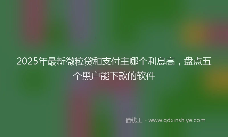 2025年最新微粒贷和支付主哪个利息高，盘点五个黑户能下款的软件