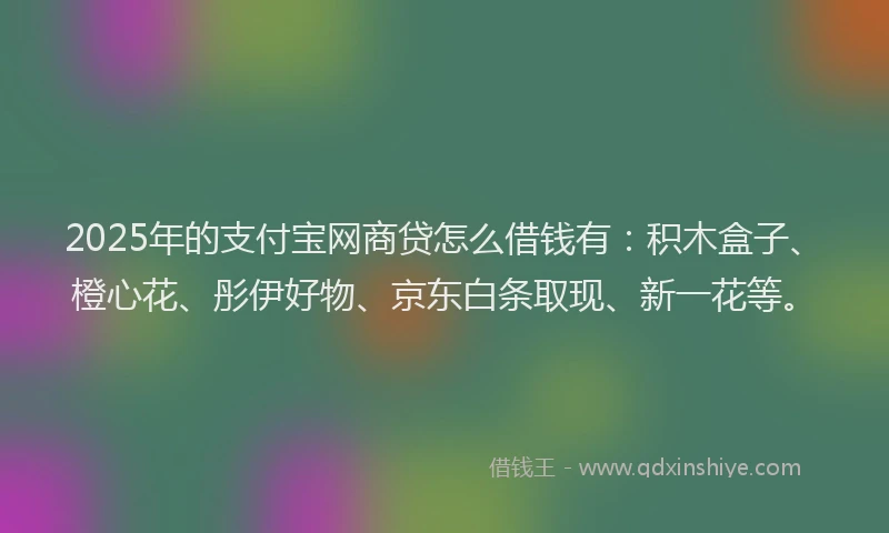 2025年的支付宝网商贷怎么借钱有：积木盒子、橙心花、彤伊好物、京东白条取现、新一花等。