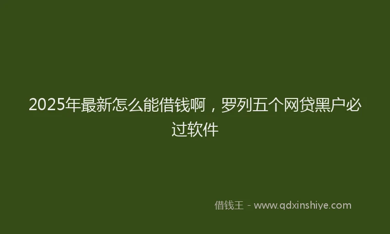 2025年最新怎么能借钱啊，罗列五个网贷黑户必过软件