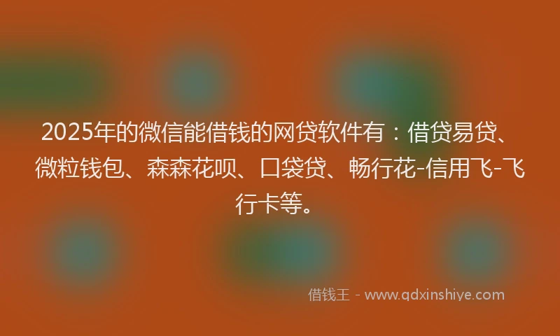 2025年的微信能借钱的网贷软件有：借贷易贷、微粒钱包、森森花呗、口袋贷、畅行花-信用飞-飞行卡等。