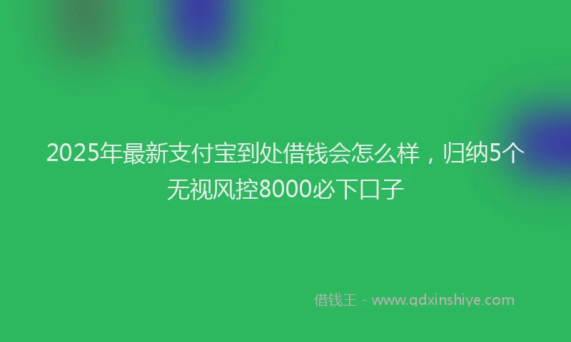 2025年最新支付宝到处借钱会怎么样，归纳5个无视风控8000必下口子