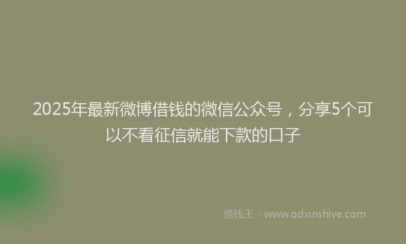 2025年最新微博借钱的微信公众号，分享5个可以不看征信就能下款的口子