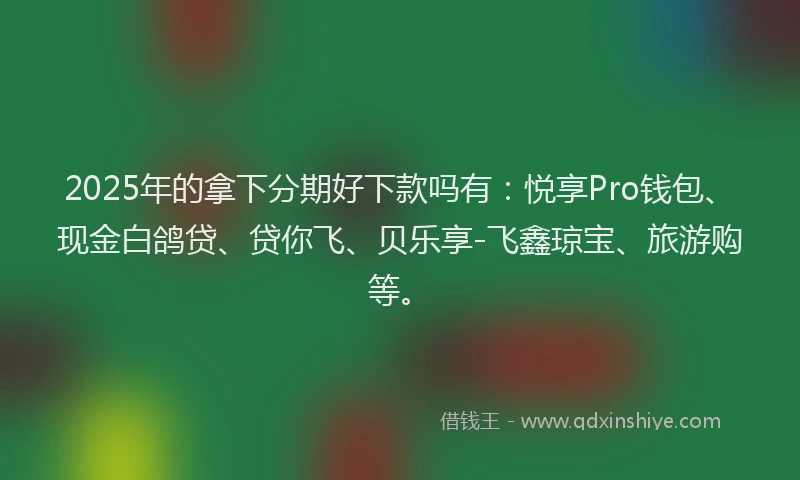 2025年的拿下分期好下款吗有：悦享Pro钱包、现金白鸽贷、贷你飞、贝乐享-飞鑫琼宝、旅游购等。