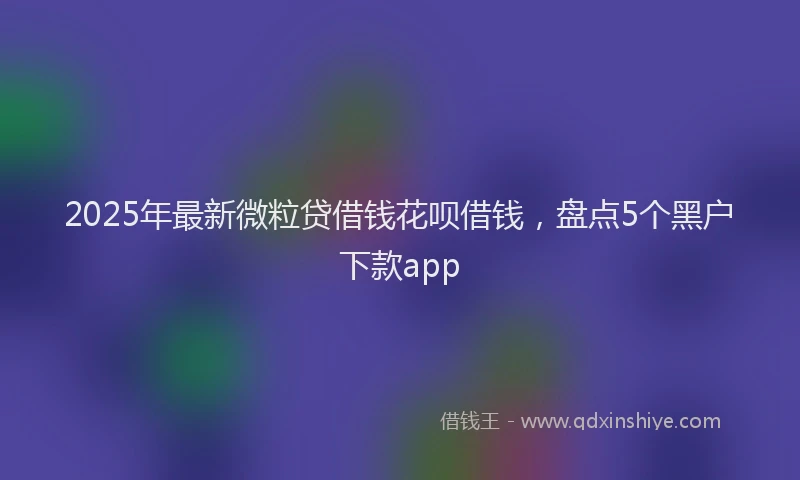 2025年最新微粒贷借钱花呗借钱，盘点5个黑户下款app