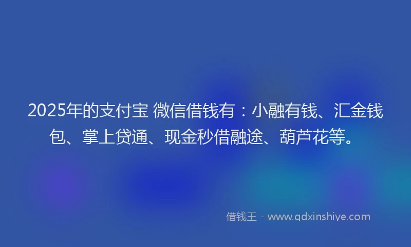 2025年的支付宝 微信借钱有：小融有钱、汇金钱包、掌上贷通、现金秒借融途、葫芦花等。